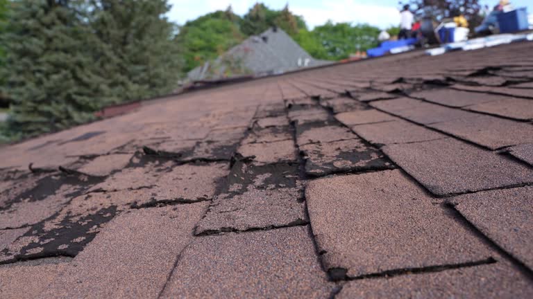  Norton, OH Roofing Service Pros