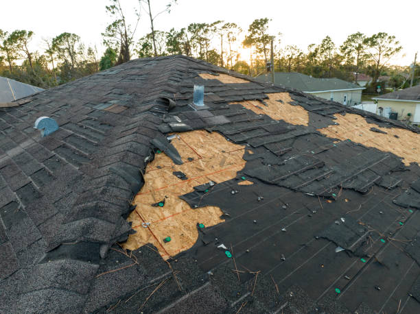 Best Skylight Installation and Repair  in Norton, OH