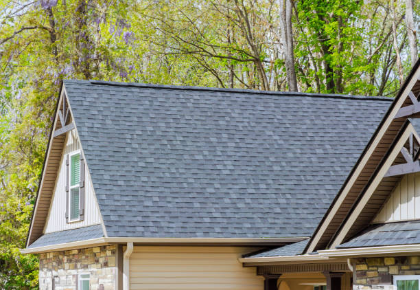 Best Roof Moss and Algae Removal  in Norton, OH
