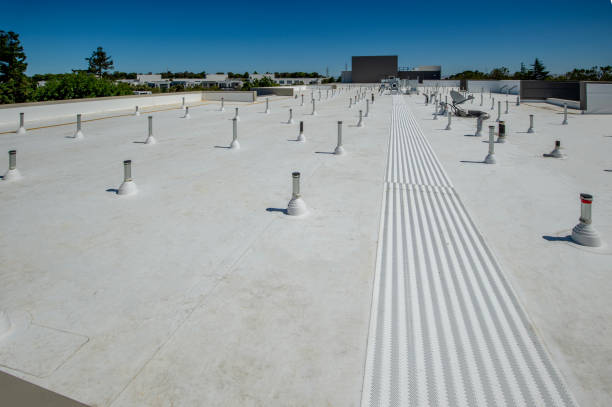 Best Roof Insulation Installation  in Norton, OH